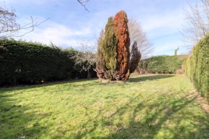 Garden- click for photo gallery